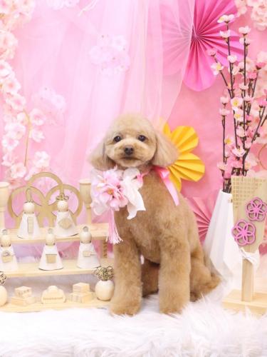 20250308ララちゃん